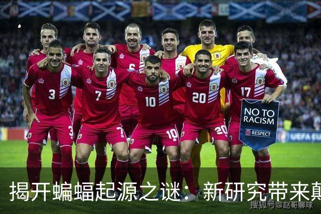 揭开蝙蝠起源之谜：新研究带来颠覆性见解